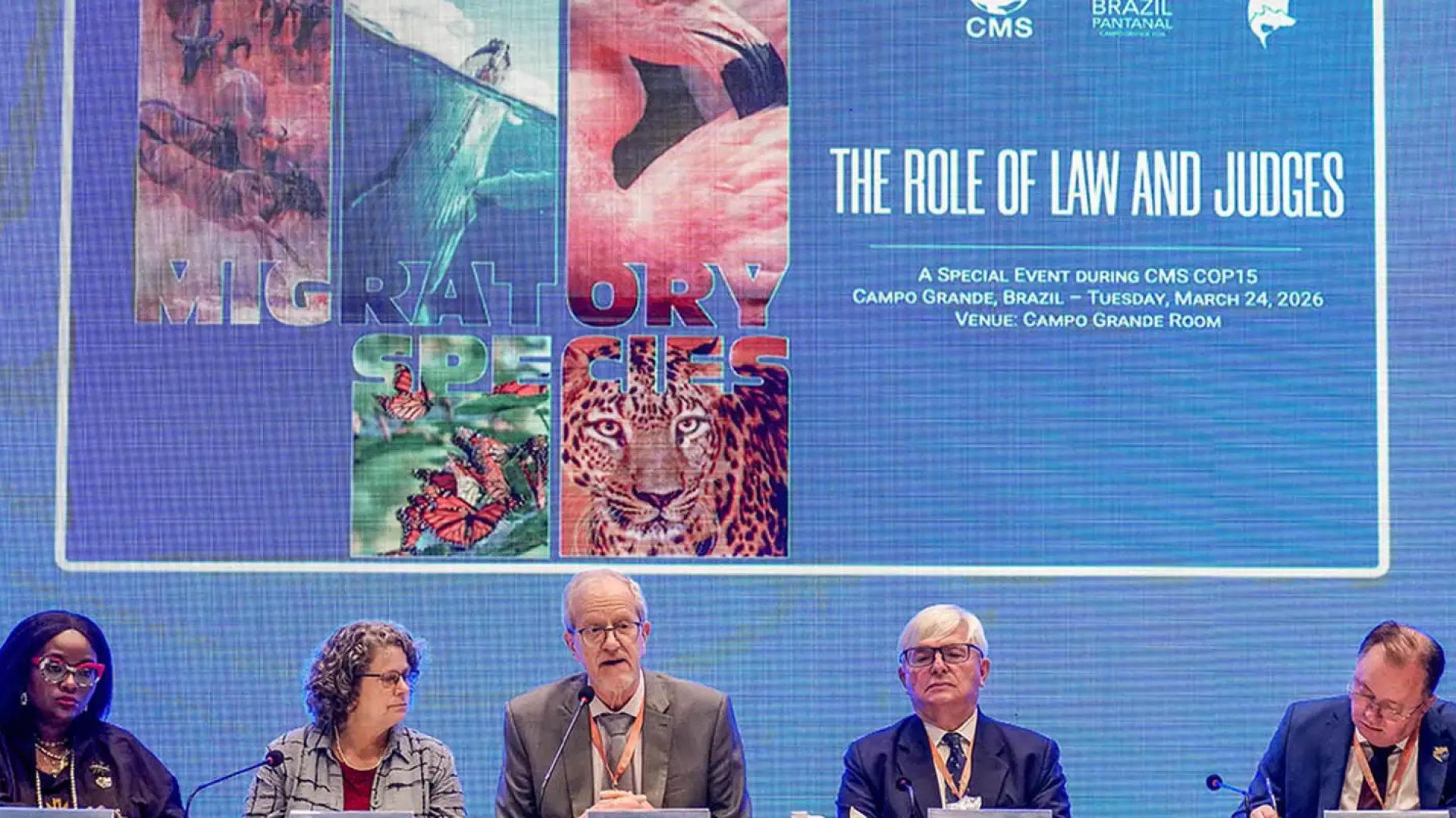 © Rafa Neddermeyer/Agência Brasil