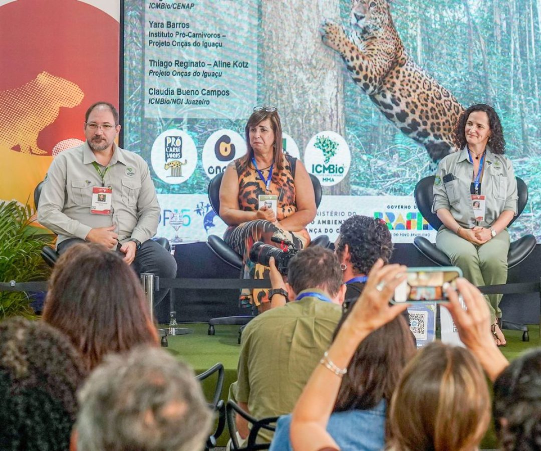 © Rafa Neddermeyer/Agência Brasil