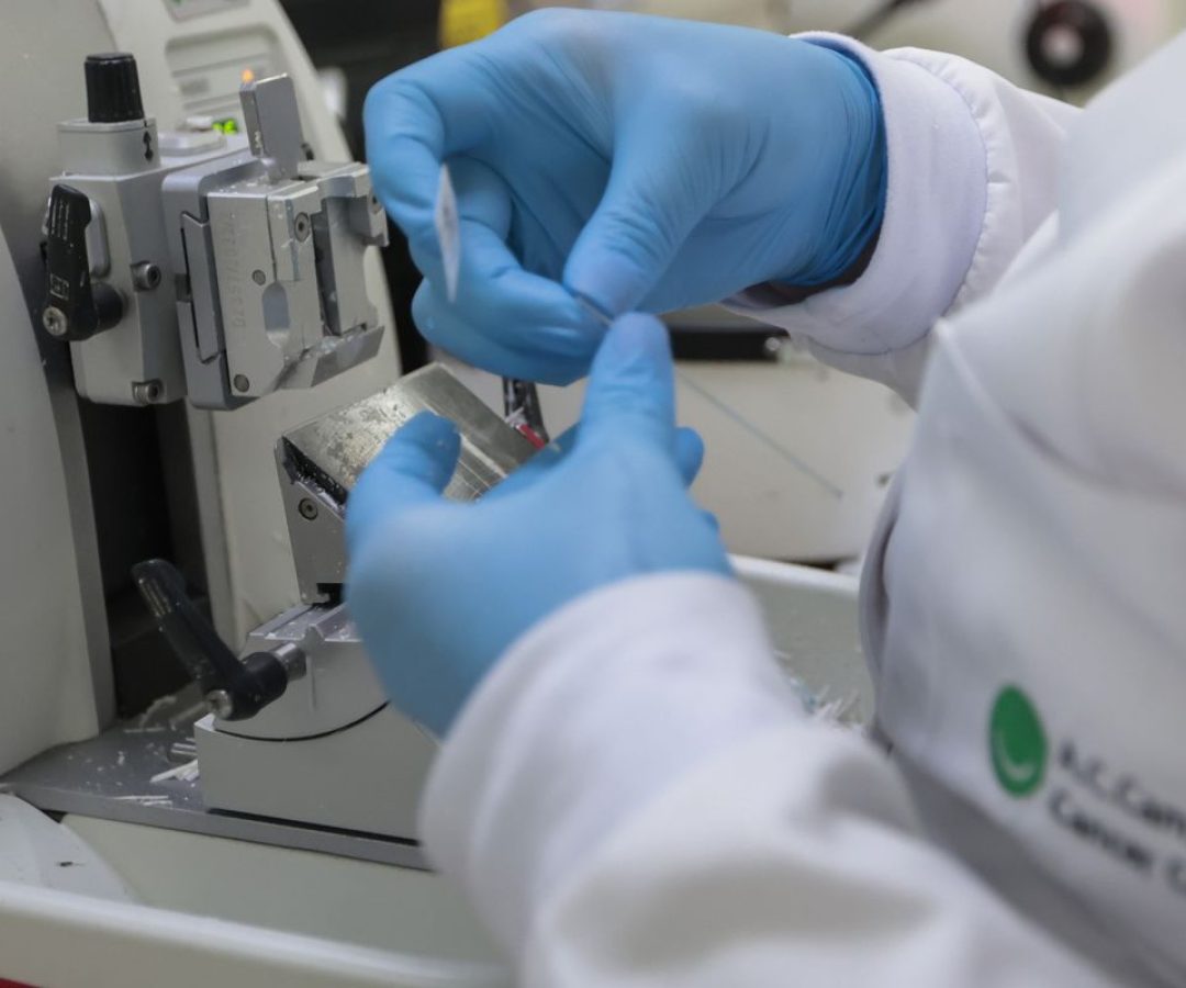 © Paulo Pinto/Agência Brasil