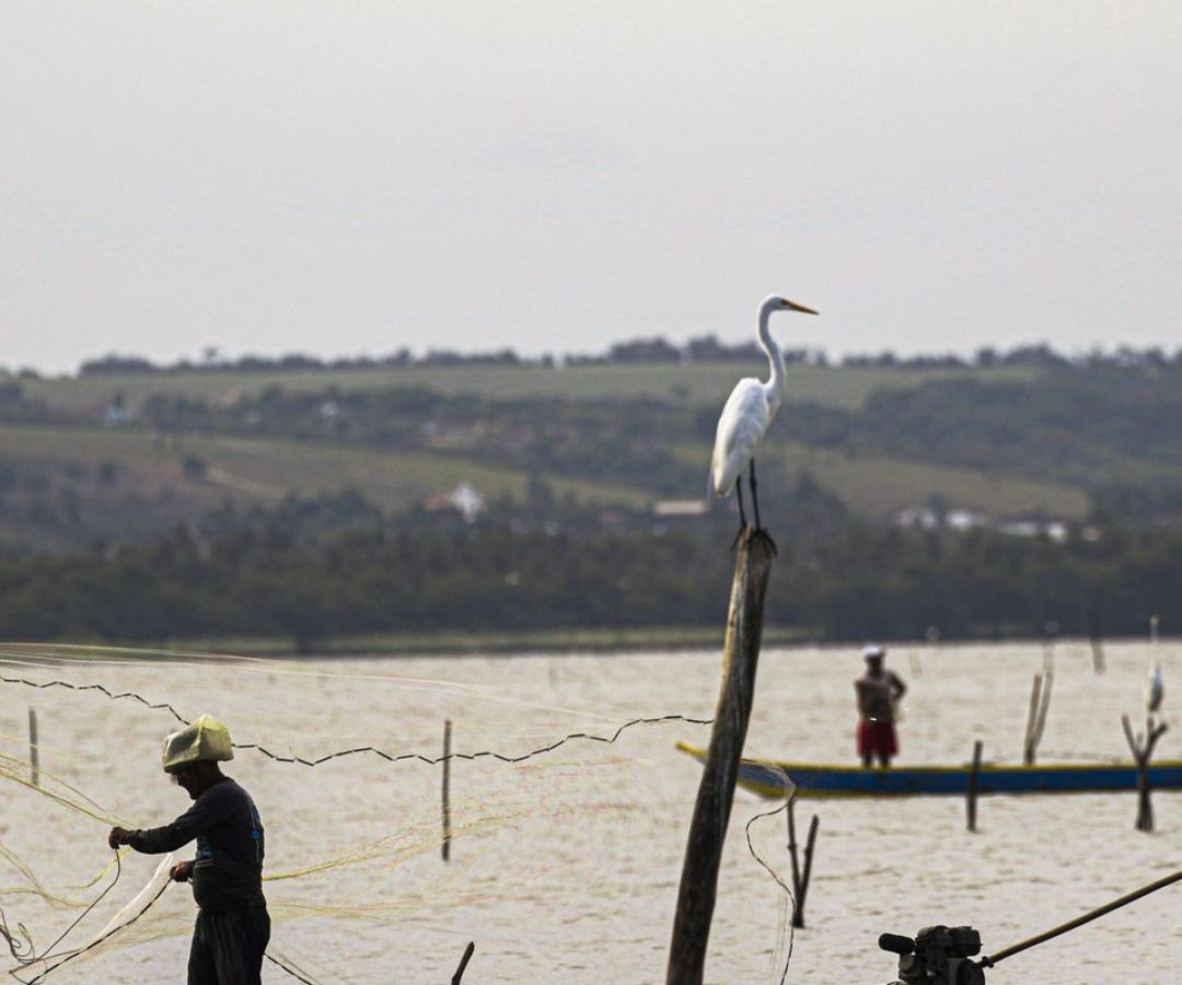 © Joédson Alves/Agência Brasil