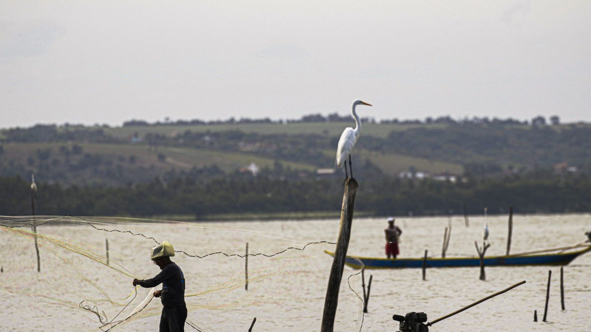 © Joédson Alves/Agência Brasil