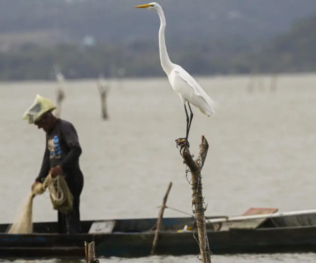 © Joédson Alves/Agência Brasil