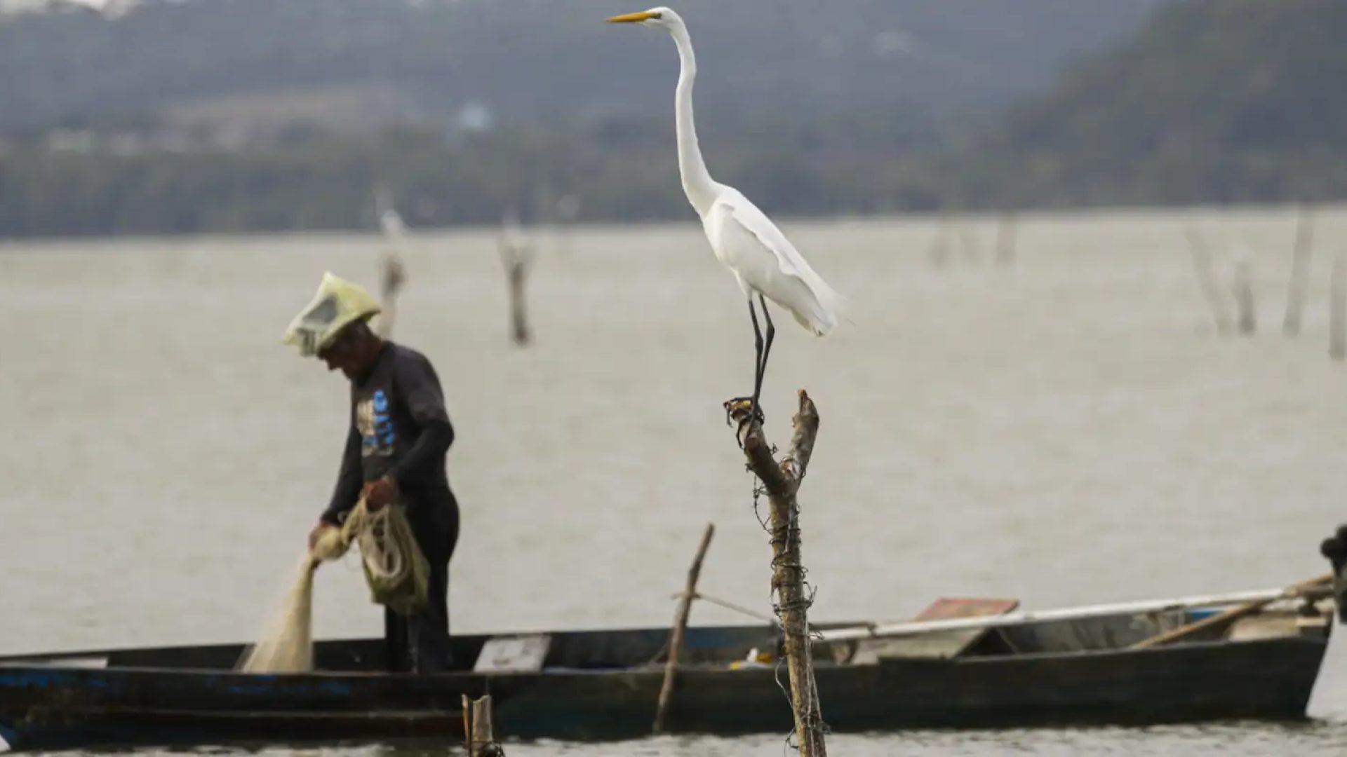 © Joédson Alves/Agência Brasil