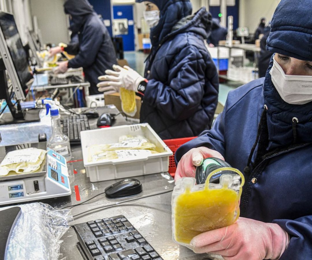 © Hemobrás/Divulgação