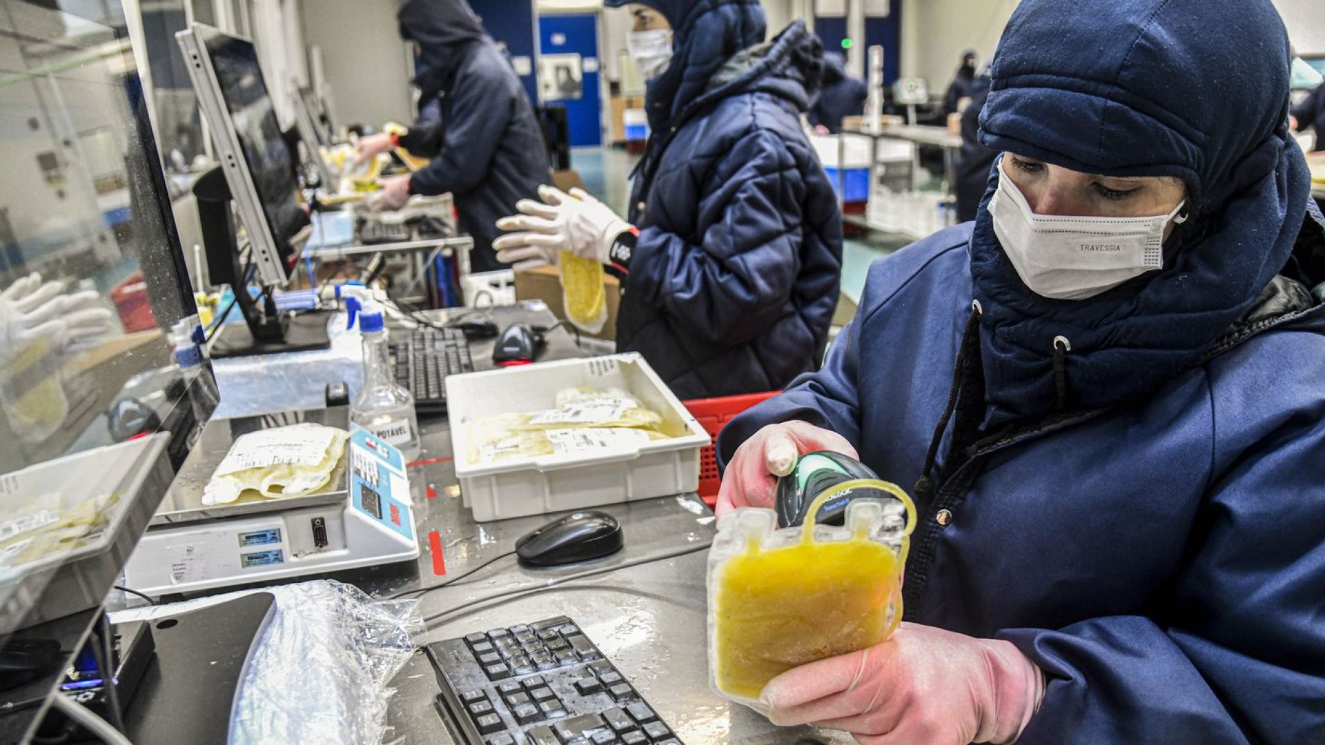 © Hemobrás/Divulgação