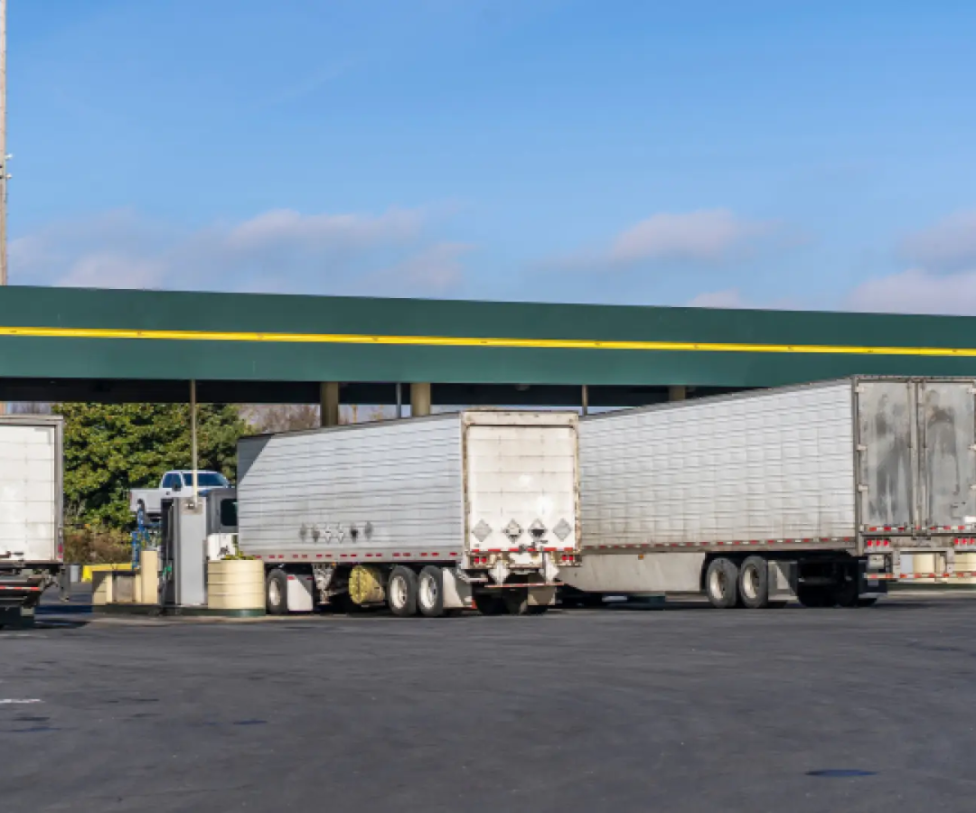 Camioneros repostando repostando©️[vitpho] a través de Canva.com