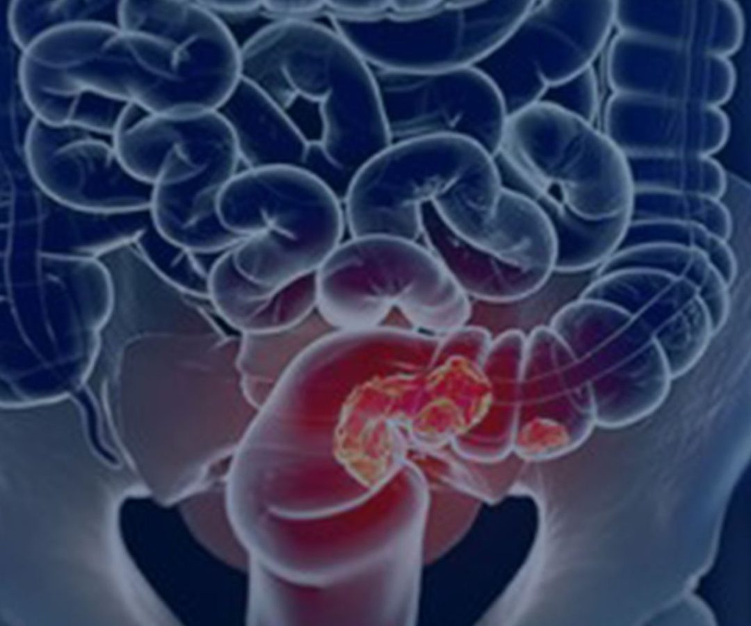 © Câmara Municipal de Afonso Claudio/Divulgação