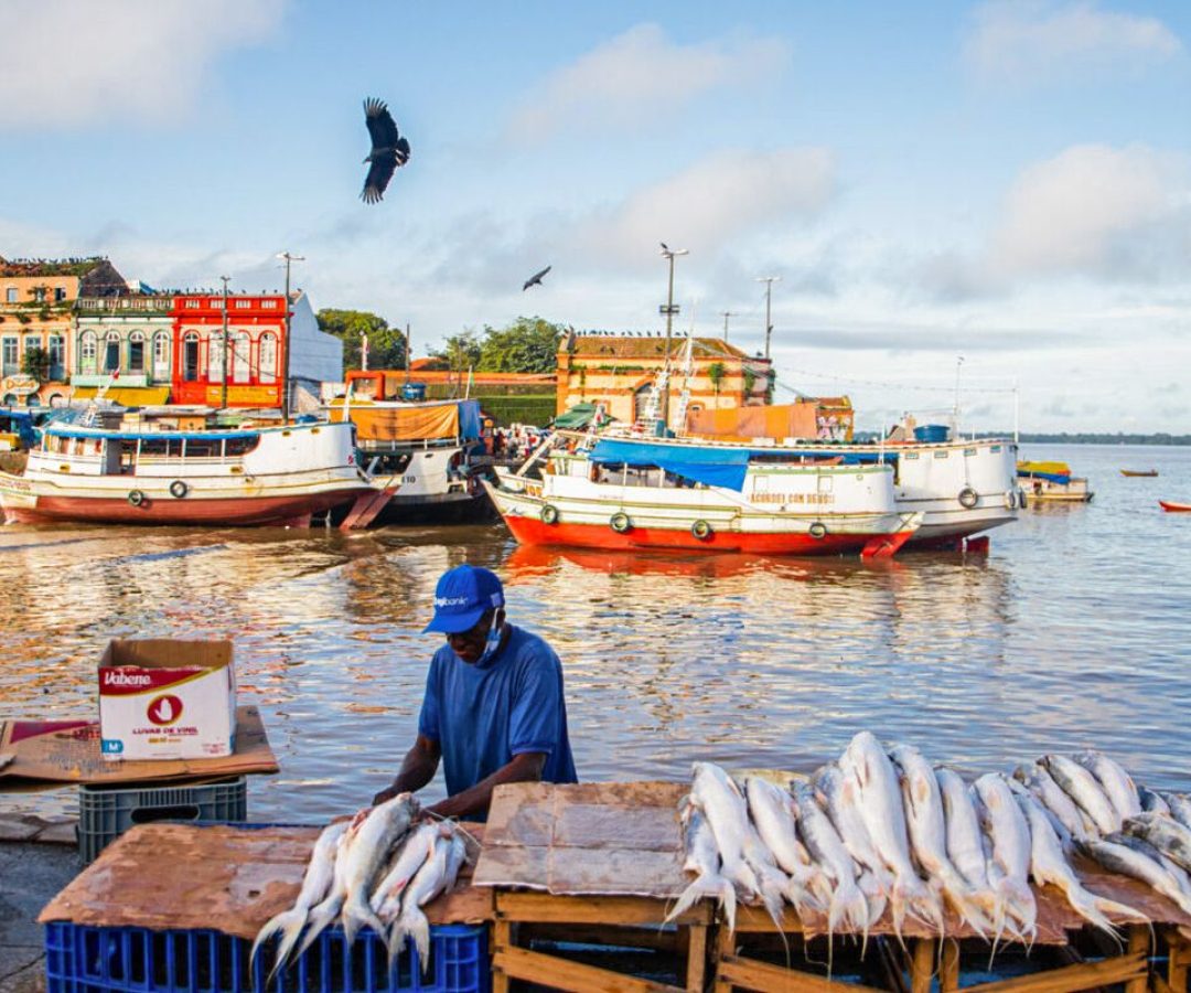 © Nayara Jinknss/Greenpeace