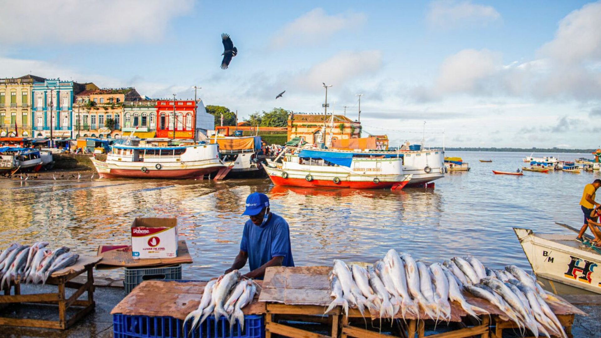 © Nayara Jinknss/Greenpeace