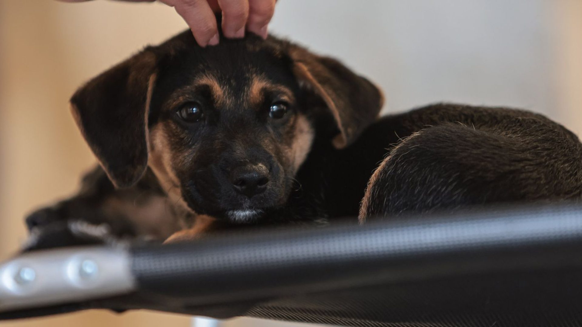 © Paulo Pinto/Agência Brasil