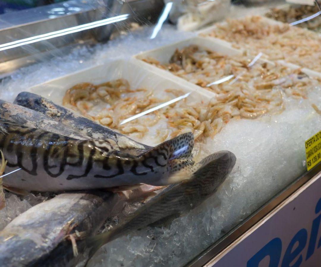 © Fabio Rodrigues-Pozzebom/ Agência Brasil