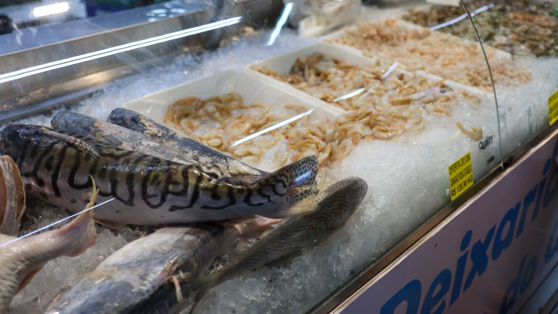 © Fabio Rodrigues-Pozzebom/ Agência Brasil