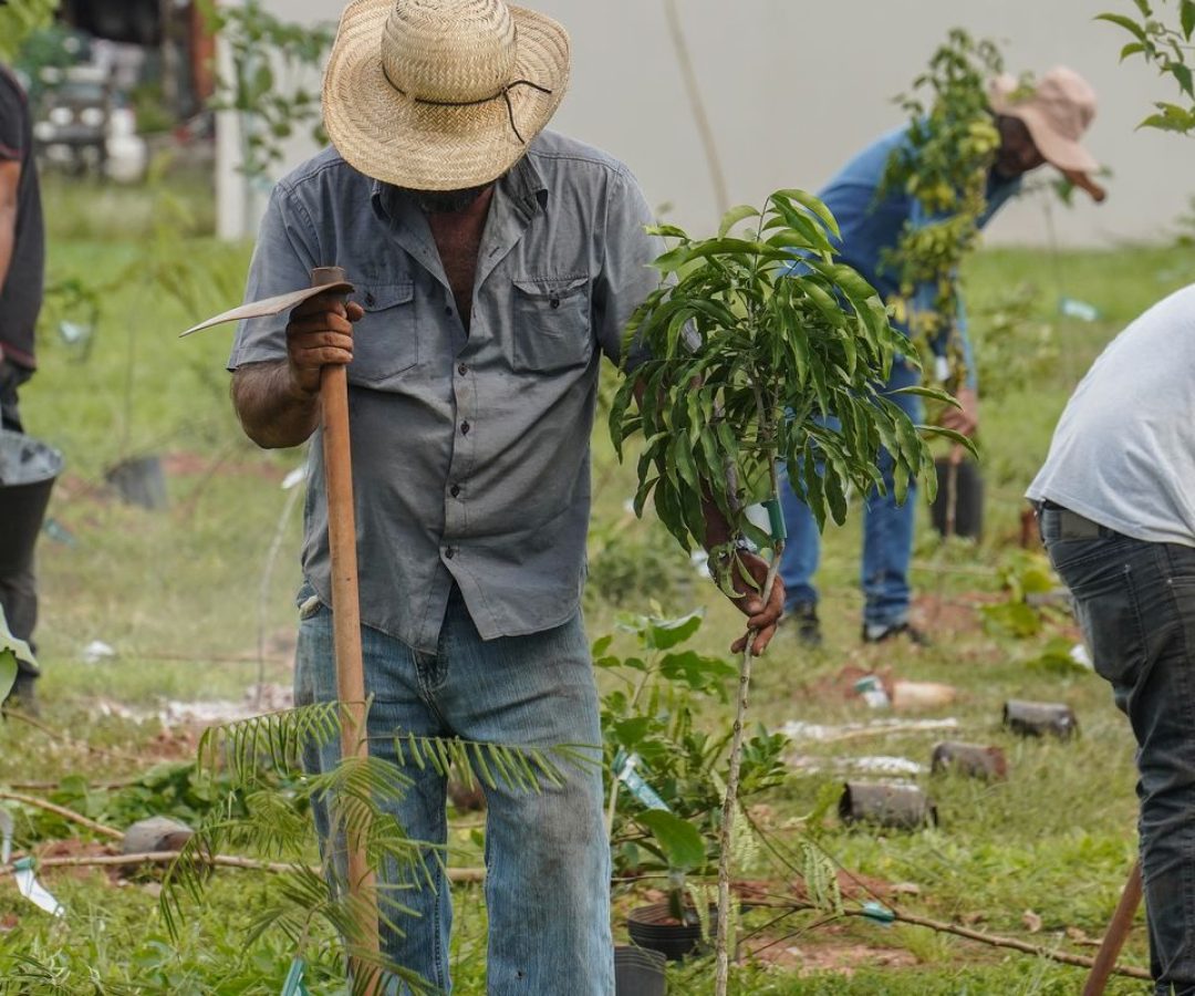 © Rafa Neddermeyer/Agência Brasil