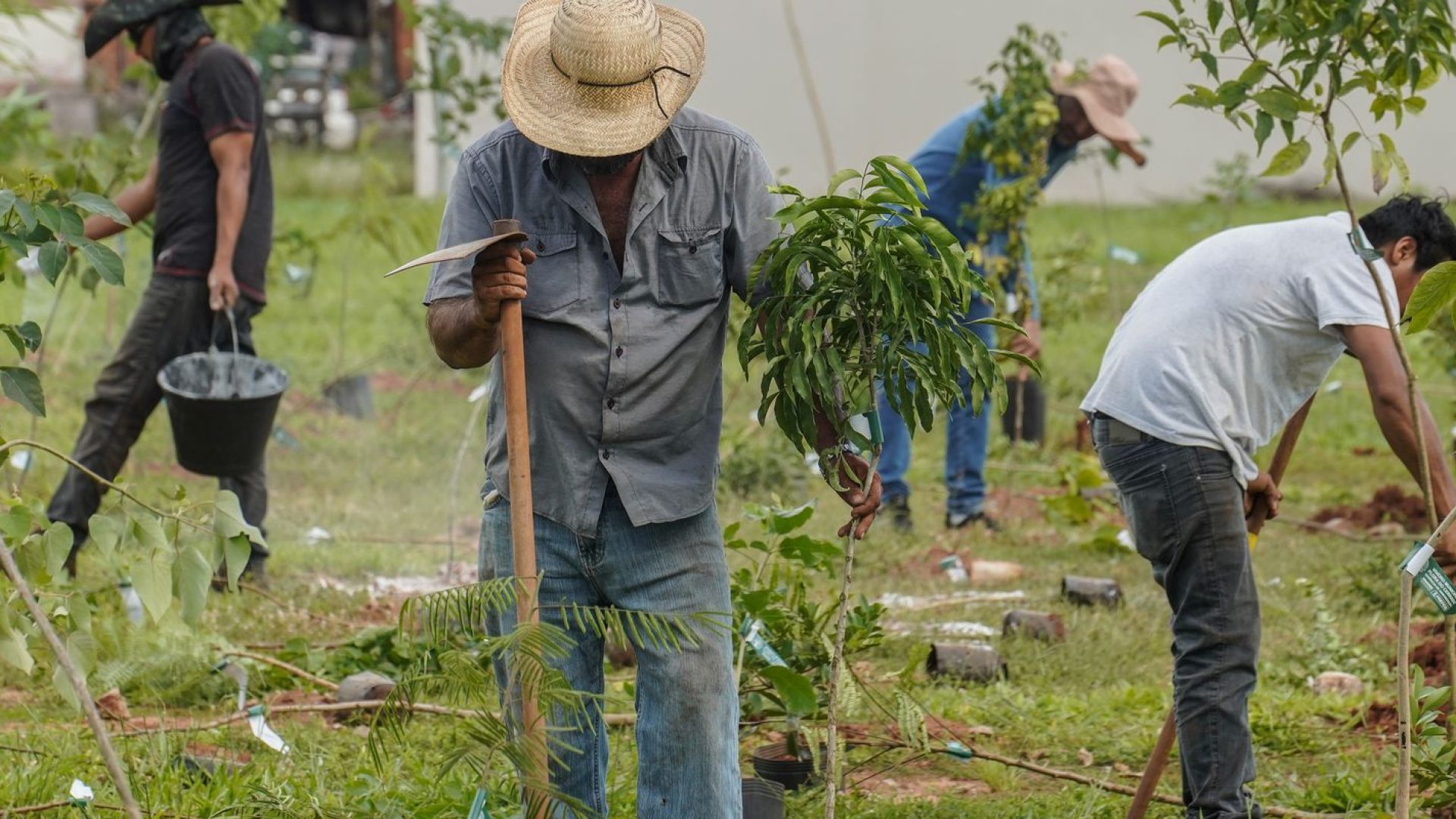 © Rafa Neddermeyer/Agência Brasil