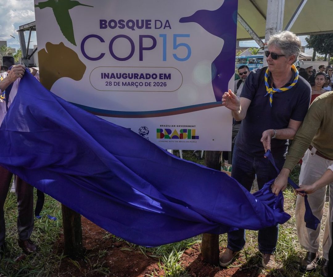 © Rafa Neddermeyer/Agência Brasil