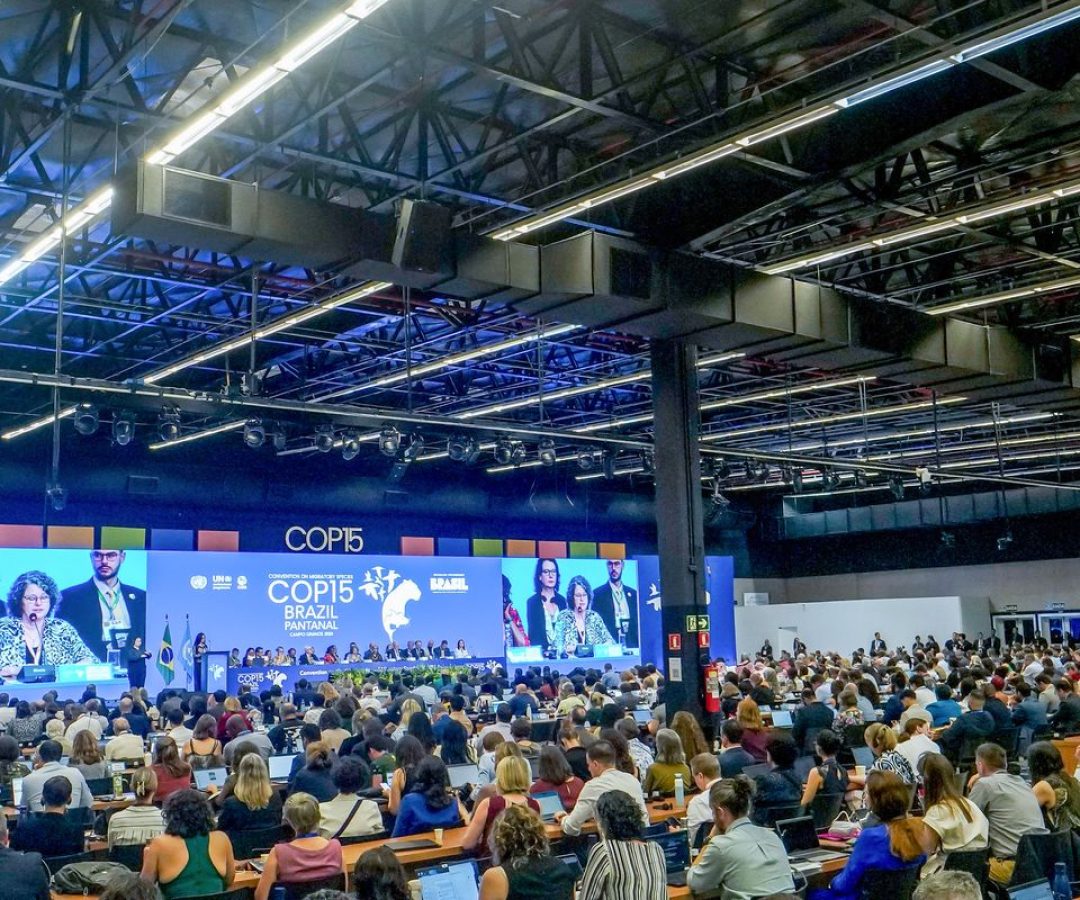 © Rafa Neddermeyer/Agência Brasil