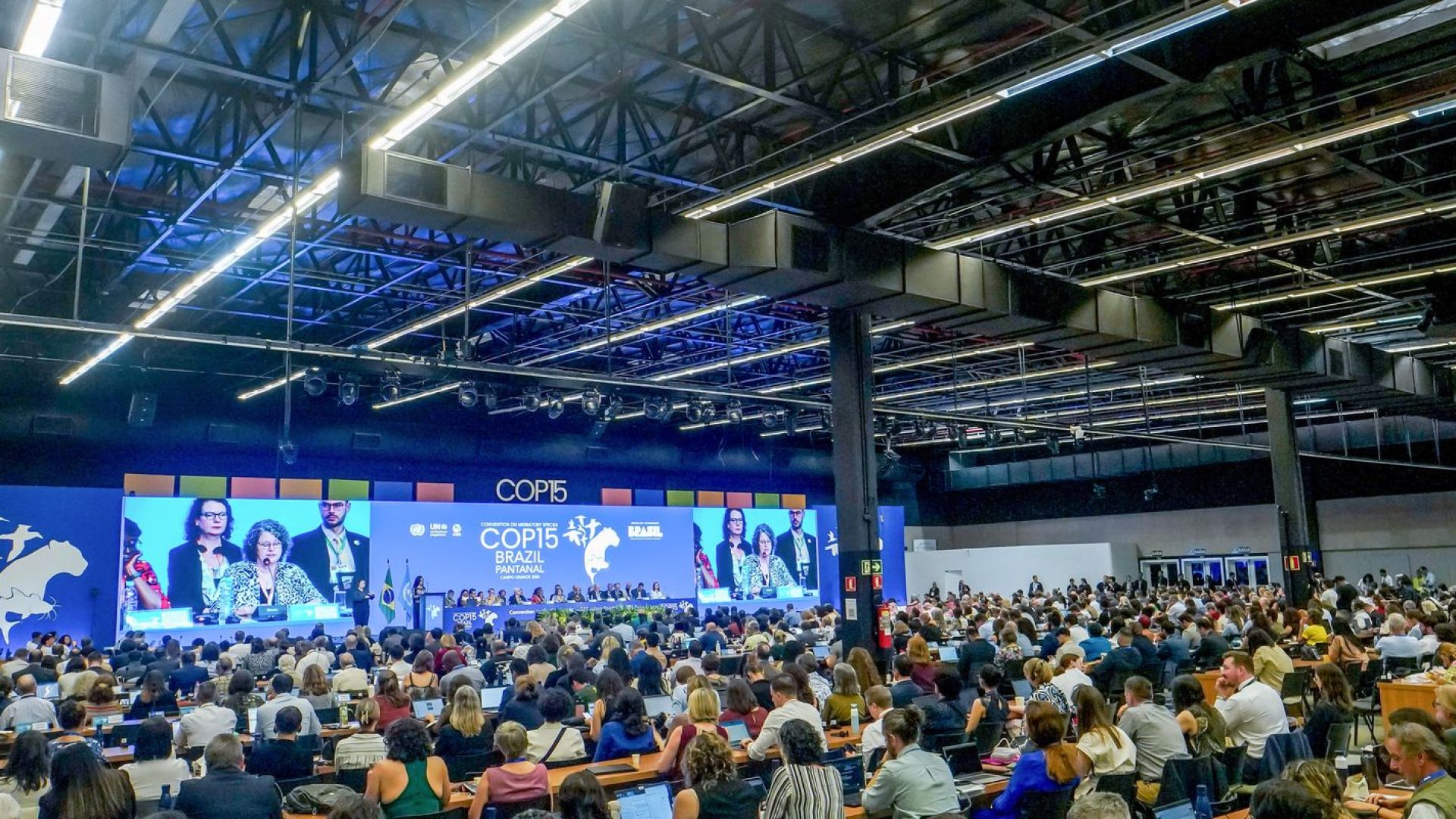 © Rafa Neddermeyer/Agência Brasil