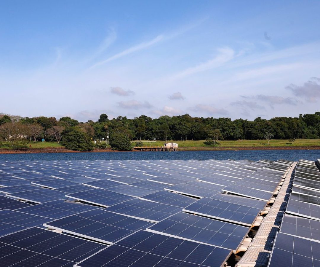 © Tânia Rêgo/Agência Brasil