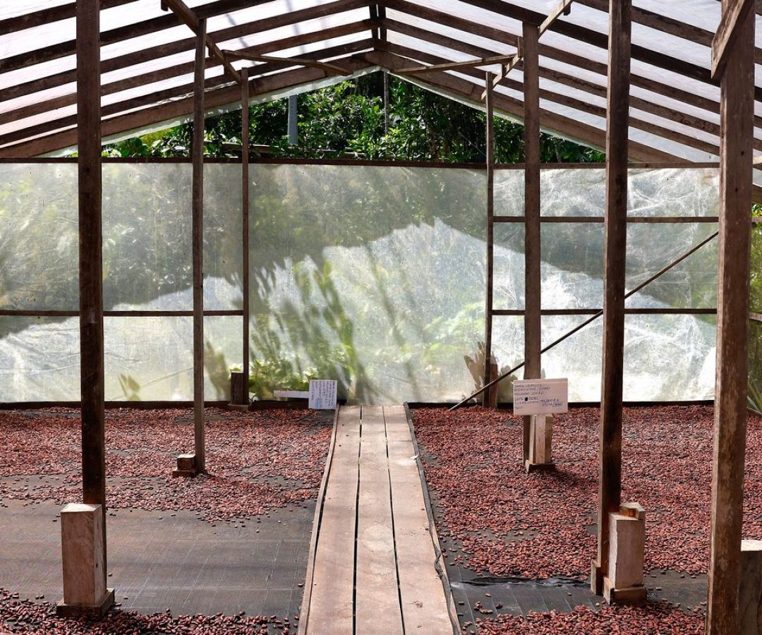 © Tânia Rêgo/Agência Brasil