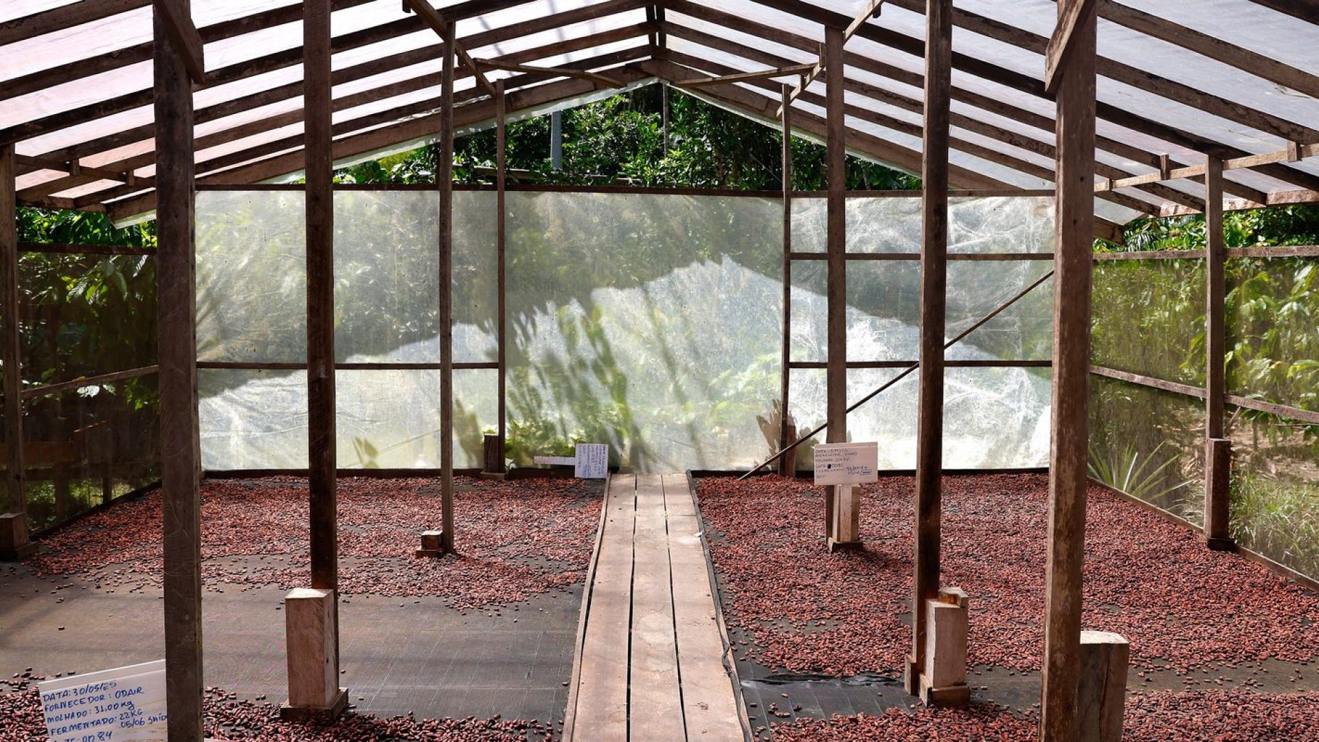 © Tânia Rêgo/Agência Brasil