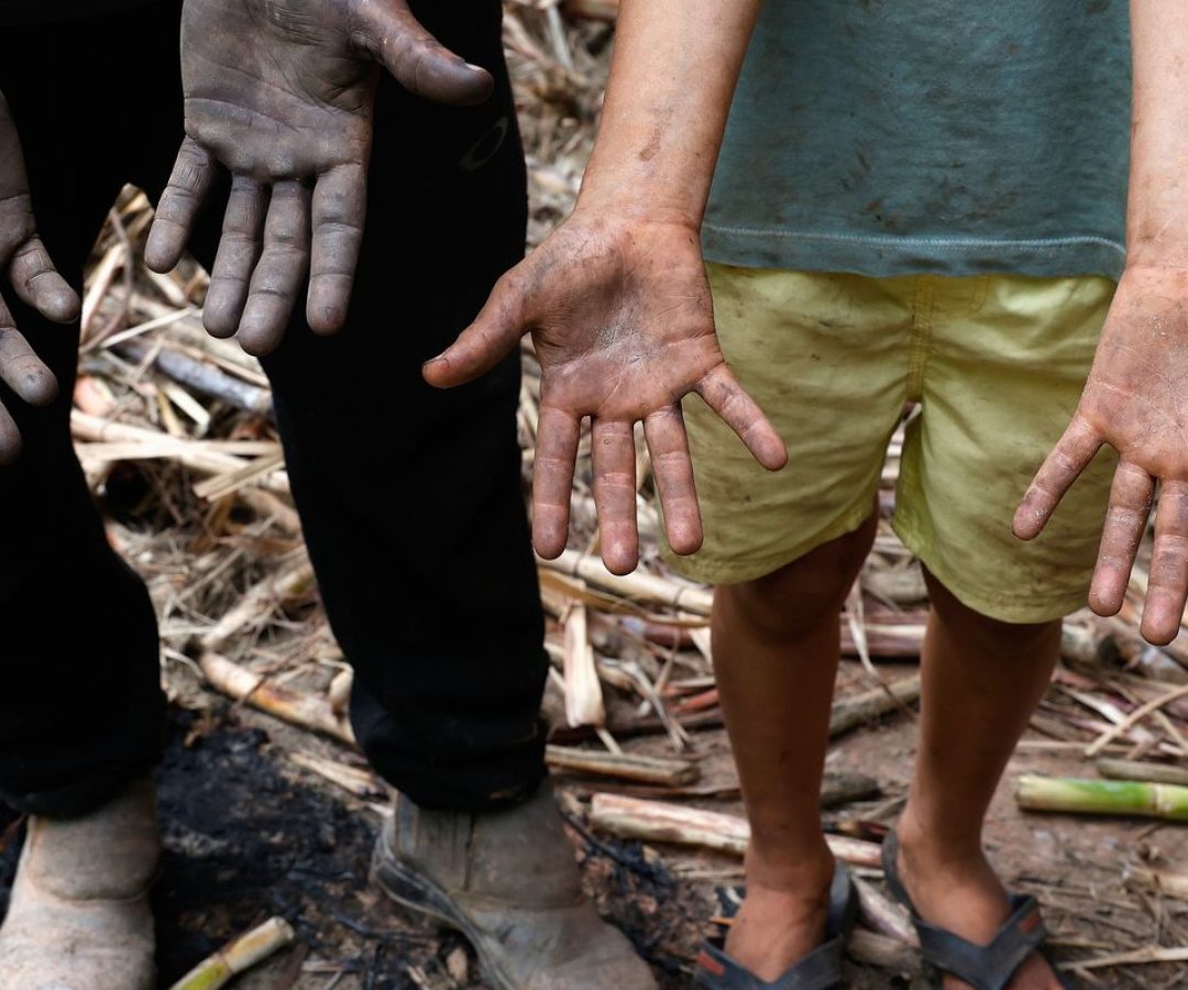 © Tânia Rêgo/Agência Brasil