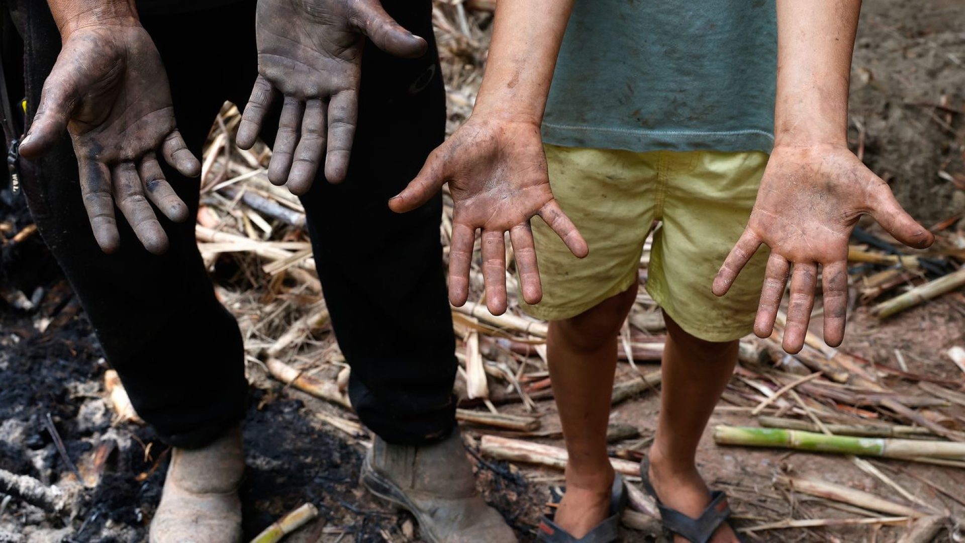 © Tânia Rêgo/Agência Brasil