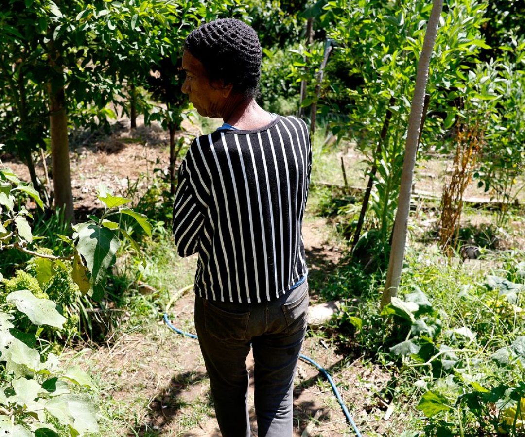 © Tânia Rêgo/Agência Brasil