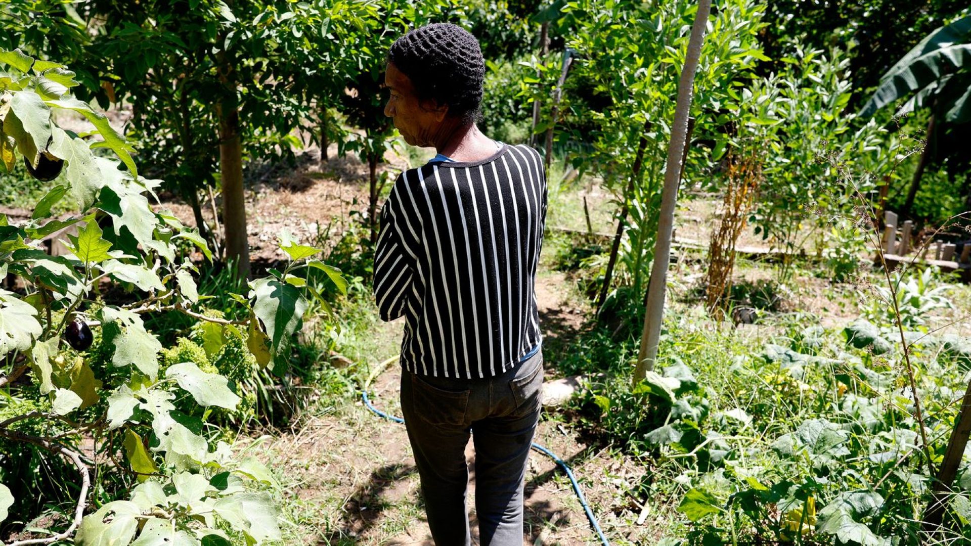 © Tânia Rêgo/Agência Brasil