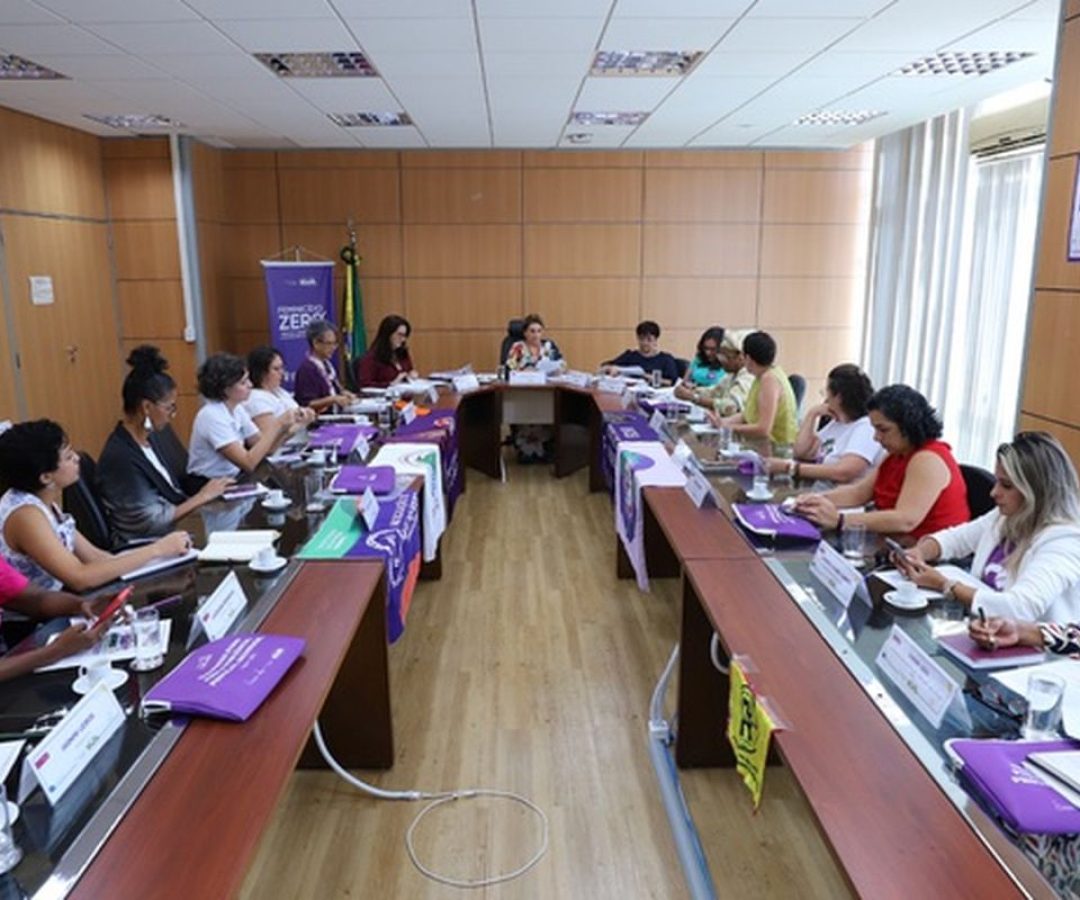 reuniao_ministerio_das_mulheres.jpeg