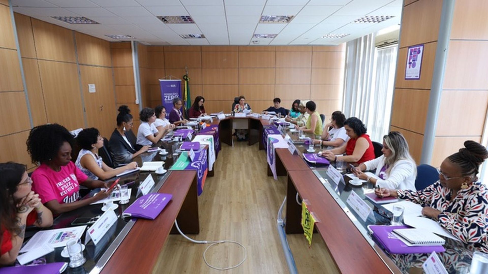reuniao_ministerio_das_mulheres.jpeg