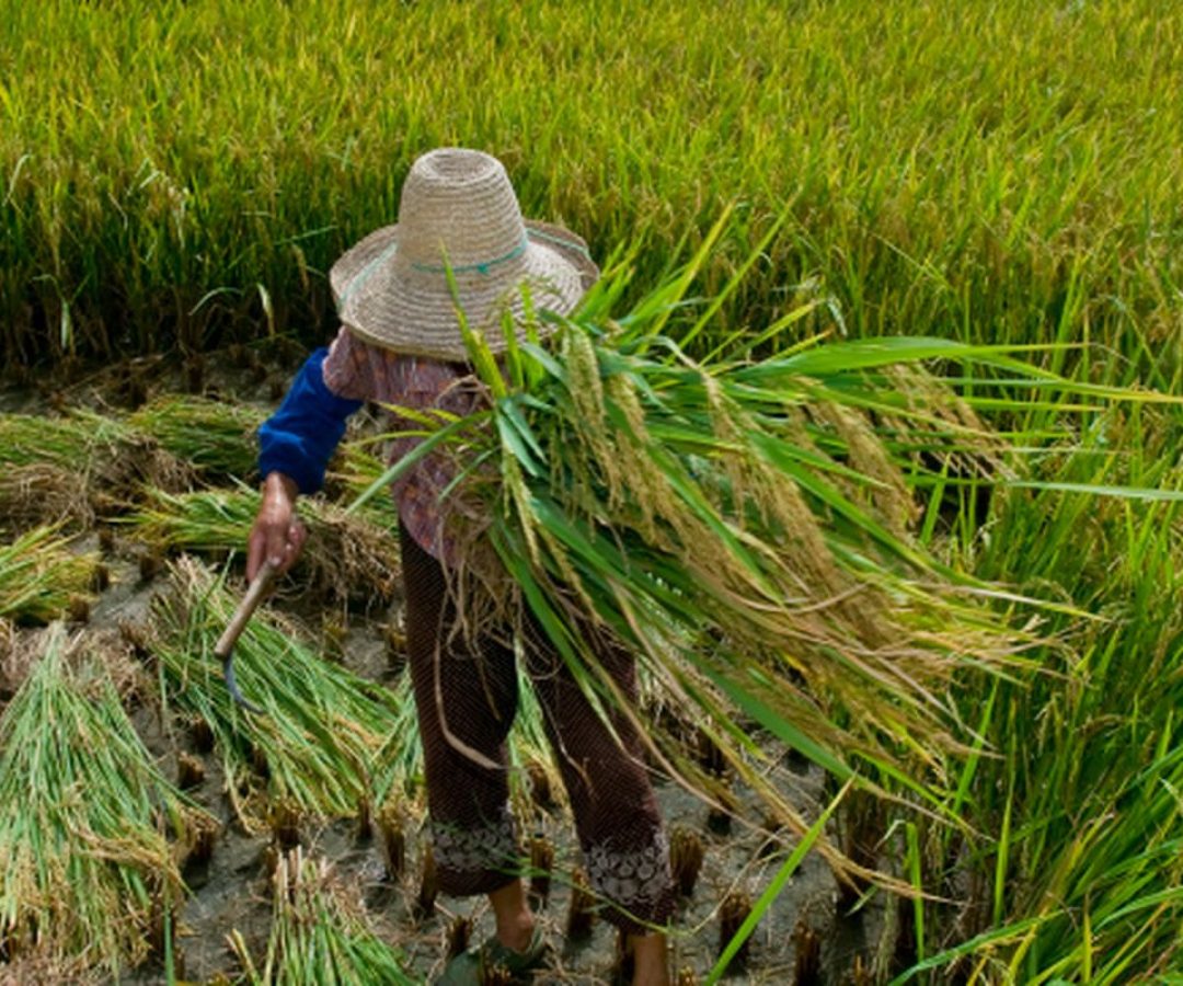 © Ministério Público do Trabalho - Divulgação