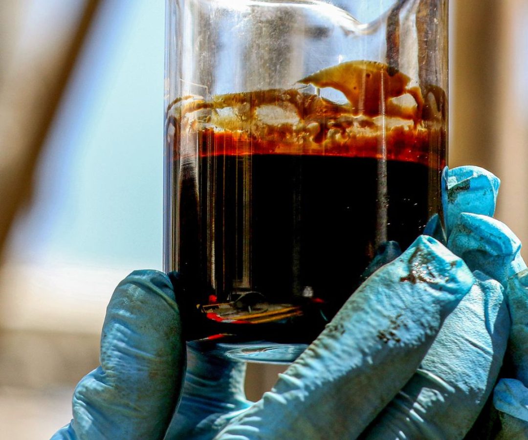 © Tânia Rêgo/Agência Brasil