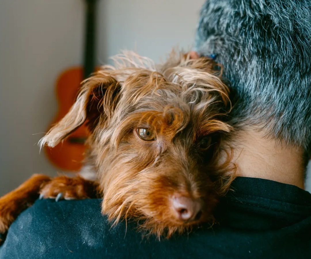 Un perro con su dueño.Getty Images