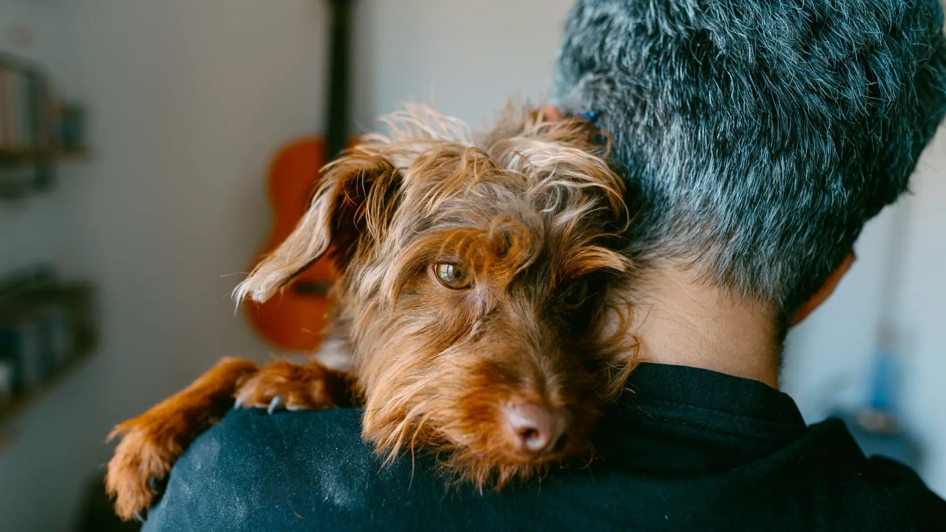 Un perro con su dueño.Getty Images