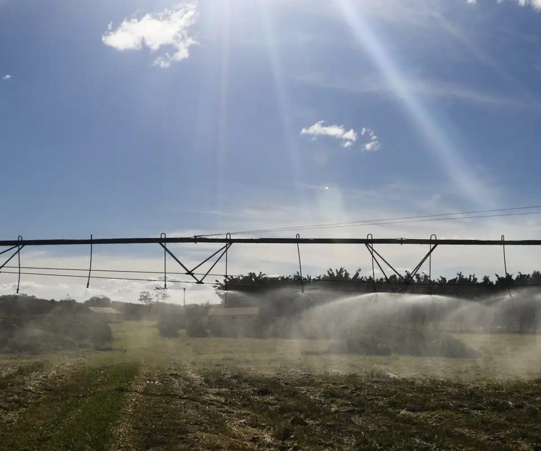 © Valter Campanato/Agência Brasil