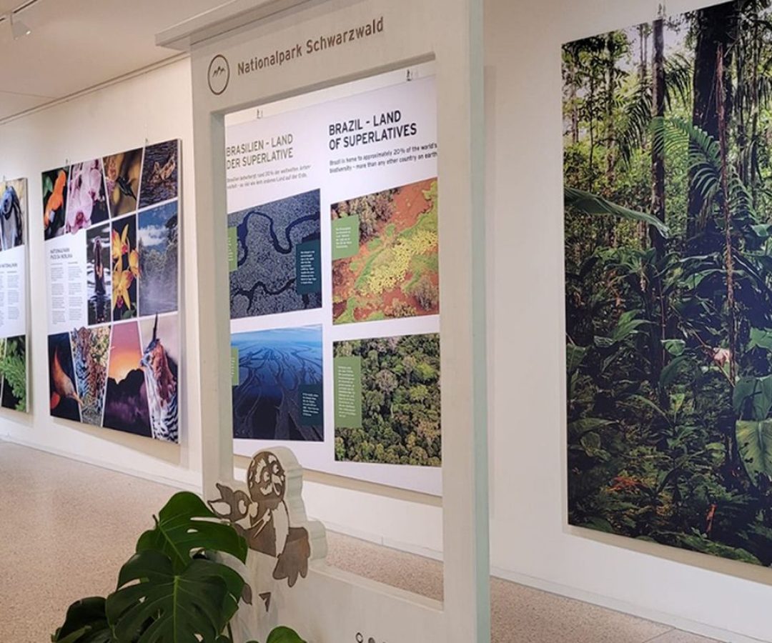 © Parque Nacional da Floresta Negra da Alemanha/Divulgação