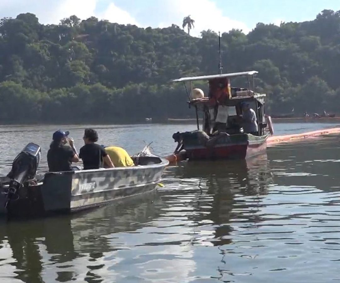 © Edgar Costa/Fundação Grupo Boticário