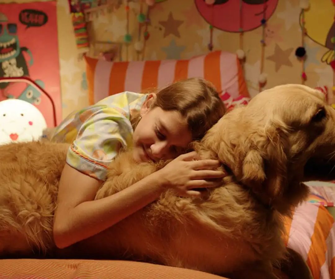 © BIFF 2026/Divulgação