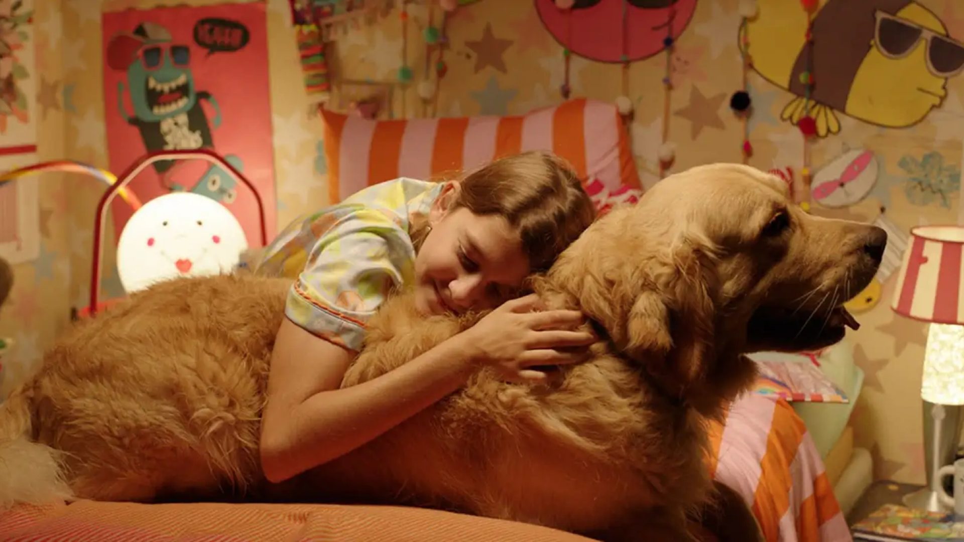 © BIFF 2026/Divulgação